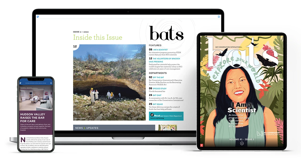 Bat Conservation International Magazine