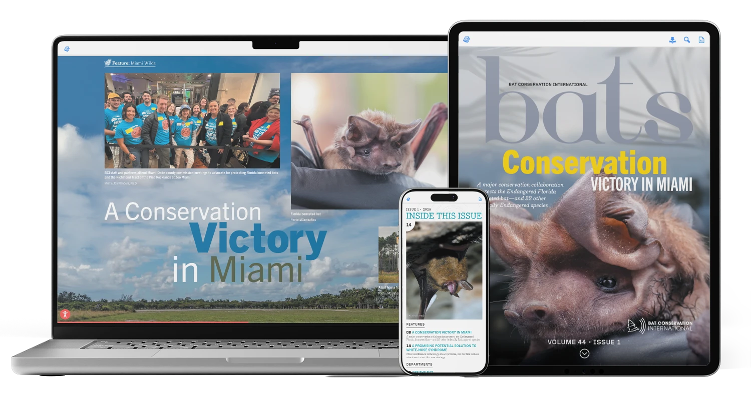 Bat Conservation International